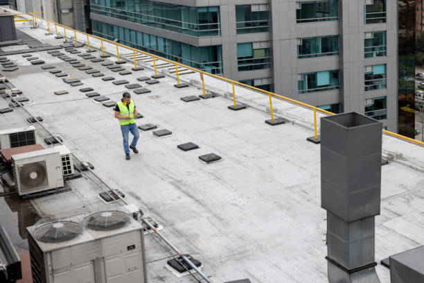 Best Roof Ventilation Installation  in Beulaville, NC