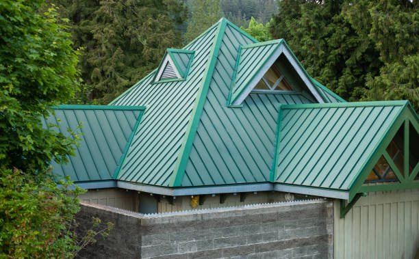 Best Gutter Installation and Repair  in Beulaville, NC